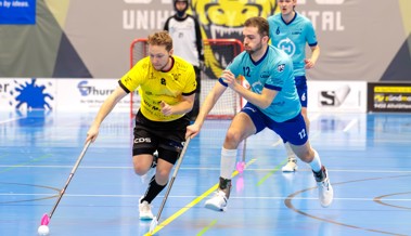 Halbfinaleinzug oder Saisonende: Gators vor entscheidendem Spiel