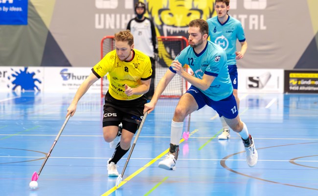 Halbfinaleinzug oder Saisonende: Gators vor entscheidendem Spiel