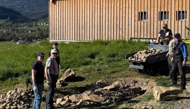 Rotary Club Rheintal setzt sich für Artenvielfalt ein