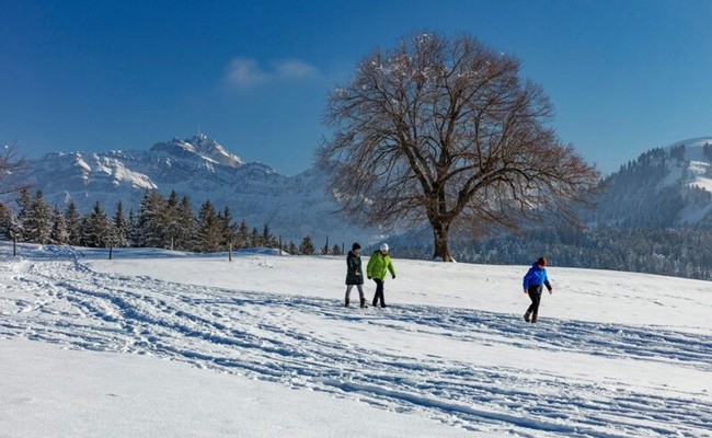 Biber backen oder mit «Räuchle» das Haus segnen: die Winter-Highlights im Appenzellerland