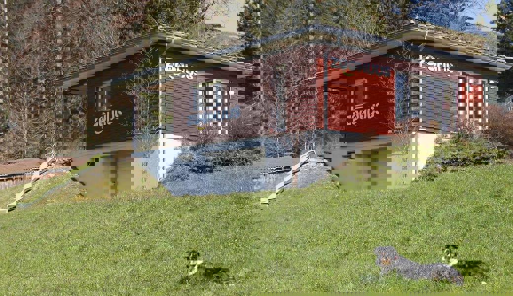 Neue Besitzer gesucht: Eichberger Zoo-Areal steht zum Verkauf