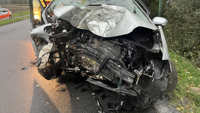 Crash im Riet: 26-Jährige prallt gegen einen Baum Crash im Riet: 26-Jährige prallt gegen einen Baum