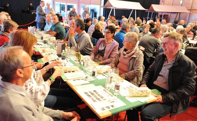 Die Oberrheintaler Hauseigentümer feiern