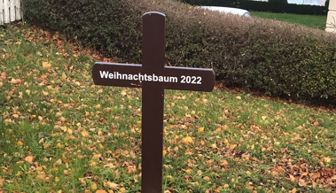Ein stiller Protest: Den Weihnachtsbaum beerdigt