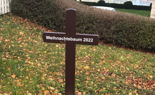Ein stiller Protest: Den Weihnachtsbaum beerdigt