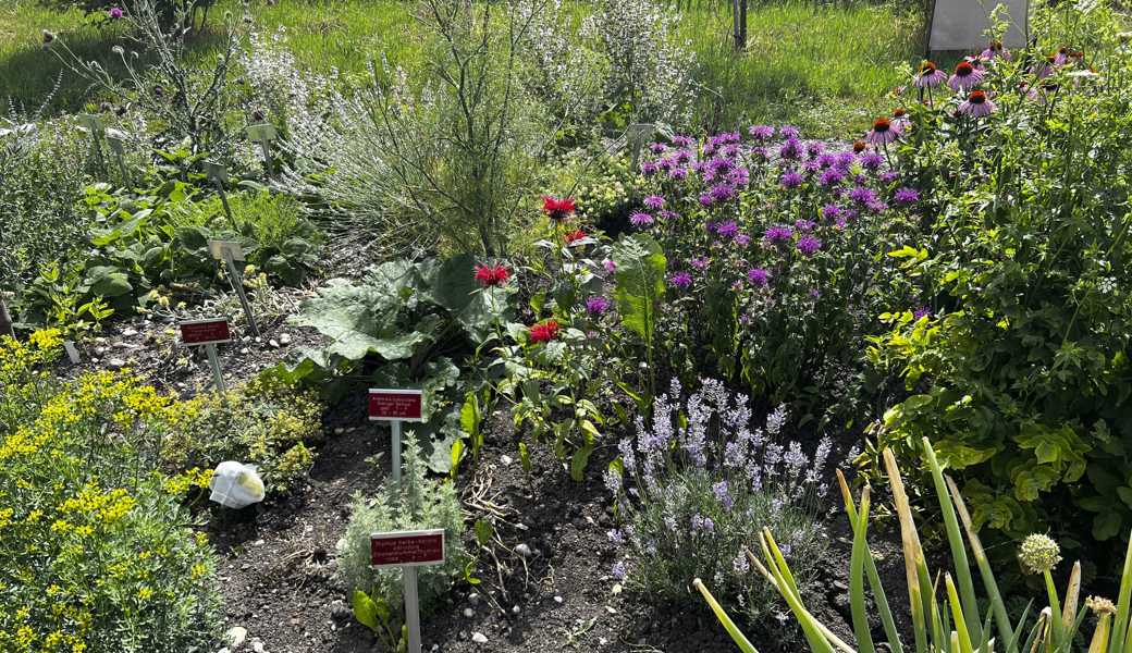 Es blüht in der Gärtnerei: Auf den Tafeln stehen die Namen der Pflanzen, links ist ein Baumwollsäcklein um eine Pflanze gebunden, um die Samen zu sammeln.