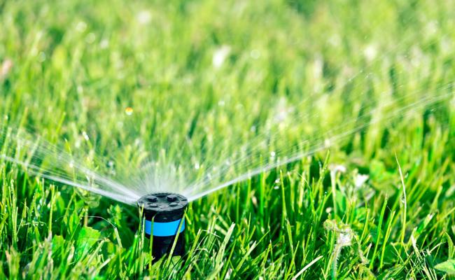 Kein Wasser mehr für den Garten