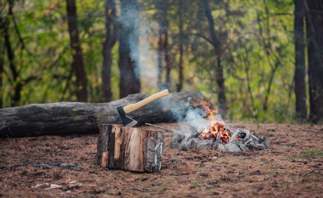 Feuer auch im Wald wieder erlaubt - Kanton St. Gallen zieht am Mittwoch mit der Lockerung nach