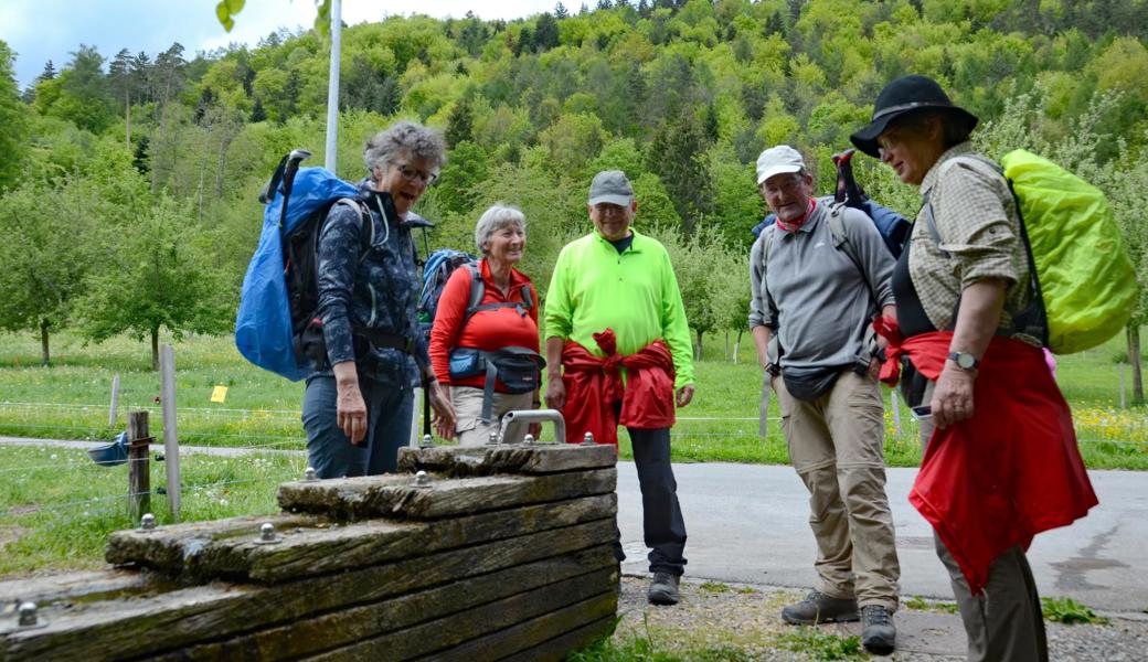 Die Via Liguria führt die Wandergruppe durchs Rheintal, von links: Elsbeth Hug aus Kisslegg, Ulrike Metzger-Helmer aus Wilhemsdorf, Erich Barthel aus Memmingen, Wanderleiter Jochen Ebenhoch aus Weingarten und Leis Burchia aus Lüchingen in der Nähe des Schlosses Grünenstein in Balgach.