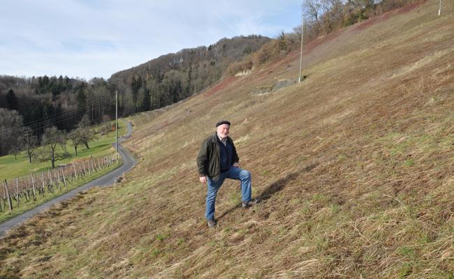 «Das wird eine grosse Sache»