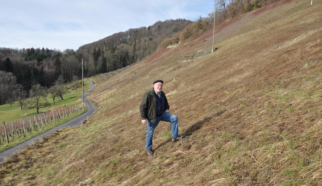 Über etwa zwei Hektaren erstreckt sich der zu terrassierende Rebhang des Tobias Weinguts. Es liegt unterhalb vom Langmoos und oberhalb vom Kobel in Berneck. Bei der Planung und Durchführung der Arbeiten berät Weinbauingenieur Felix Indermaur Inhaber Christoph Schmid