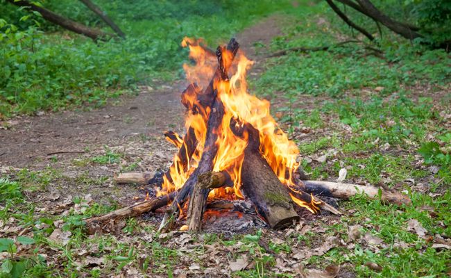 Gemeinde verhängt absolutes Feuerverbot im Wald und in Waldesnähe