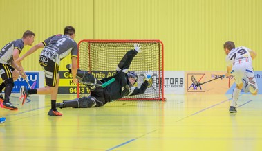 Rheintal Gators starten in Davos in die Playoffs