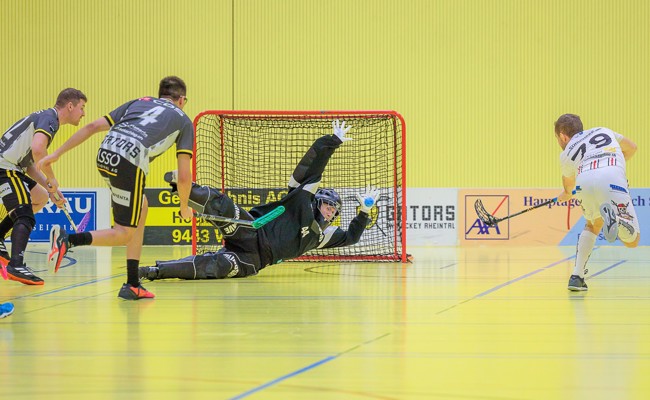 Rheintal Gators starten in Davos in die Playoffs