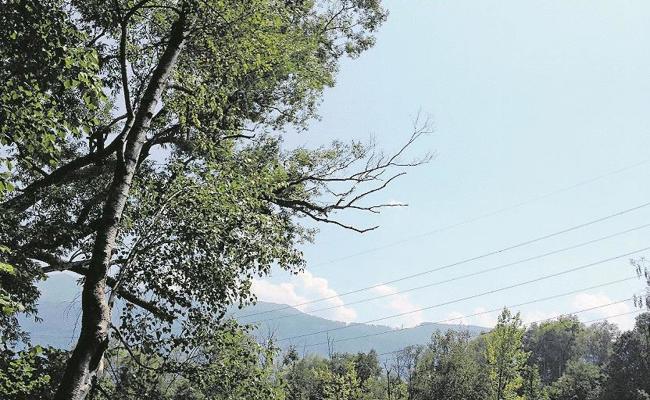 Das Tarzan-Seil hängt nicht mehr