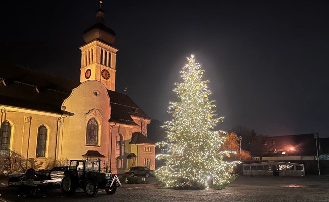 Von Altstätten bis Rheineck: Diese Weihnachtsbäume verzaubern das Rheintal – welcher ist der schönste?