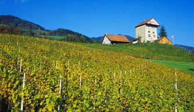 Ausstellung zum Weinbau im Museum Prestegg