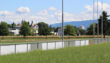 «Lieber den Spatz in der Hand»