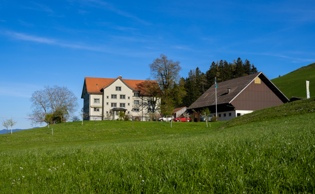 Fotovoltaikanlage auf Stalldach beim Watt wird realisiert