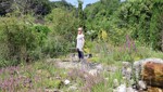 200 einheimische Pflanzen machen diesen Garten zum Lebensraum