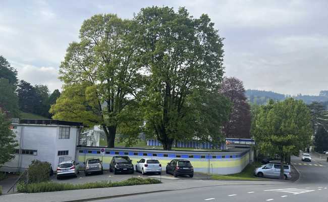 Bald kostenpflichtig: Parkplatzproblem soll mit Tarifen gelöst werden