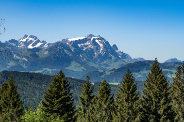 Von Gais über den Sommersberg ins Tal hinunter