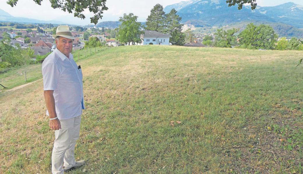 Auf der Wiese sollen in den nächsten Jahren Rebstöcke wachsen. Harald Herrsche ist zufrieden, die beiden Bergliwiesen können der Ortsgemeinde überschrieben werden. Ärgerlich sei einzig die Zeit, die man wegen des Verfahrens eingebüsst habe.  Auf der Wiese sollen in den nächsten Jahren Rebstöcke wachsen. Harald Herrsche ist zufrieden, die beiden Bergliwiesen können der Ortsgemeinde überschrieben werden. Ärgerlich sei einzig die Zeit, die man wegen des Verfahrens eingebüsst habe.