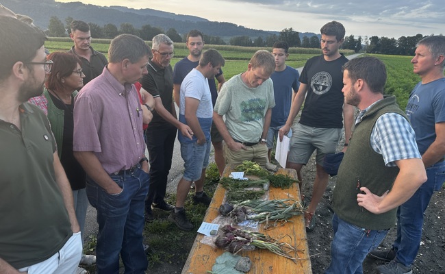 Extreme Wetterlagen und Biodiversität: Landwirte im Rheintal geraten unter Druck