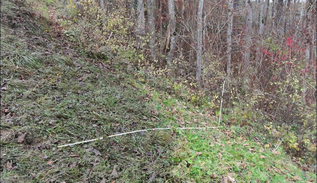 Zu nah an den Waldrand gegüllt: Die Kontrolleure dokumentieren solche Verstösse mit Meterstab und Foto.