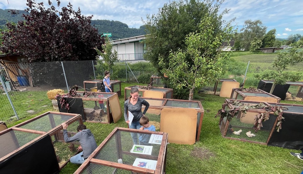 Die Ausstellung in Rebsteins findet jeweils beim Vereinslokal statt, das sich auf Ortsgemeindeboden befindet.