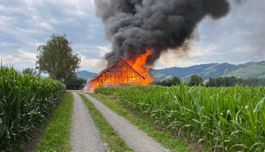 Viel Rauch am Morgen über dem Riet - Trattstall in Flammen