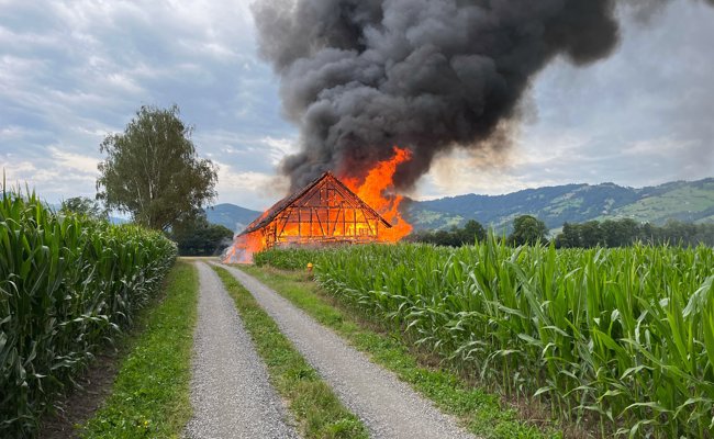 Viel Rauch am Morgen über dem Riet - Trattstall in Flammen