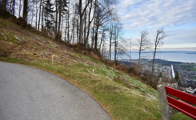 Neues Reservoir kann gebaut werden - oberhalb des Zentrums neben einem Aussichtsbänkli