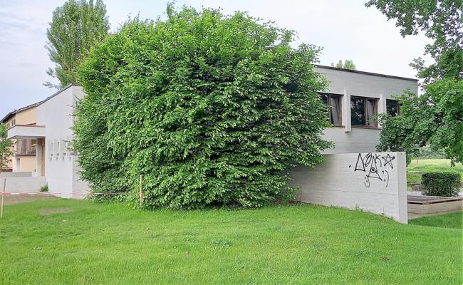 Sprayereien am neuen Kindsgi: «Das stimmt mich traurig»