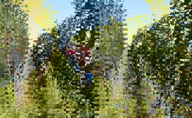 Jahrgang 2023: Spannende Weinsaison, geprägt von extremen Wetterbedingungen