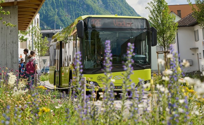 Teures Liechtenstein: Für eine Busfahrt wurden auf der SBB-App 128 Franken angezeigt