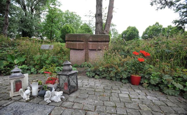 Pflanzkonzept auf dem Friedhof