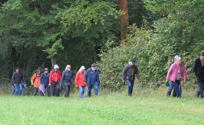 Mittelalter hautnah: Ortsmuseum eröffnet neue Sonderschau mit Burg-Rundgang