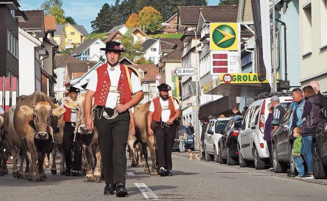 Tiere, Musik und Spass an der Viehschau