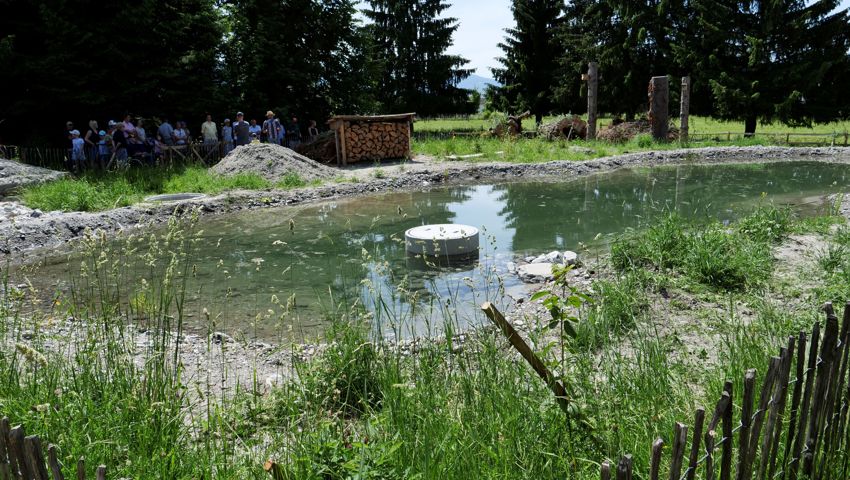Mit dem Projekt «Widenhau – do läabts» ist in Diepoldsau ein neuer, wertvoller Lebensraum für Tiere und Pflanzen entstanden. 