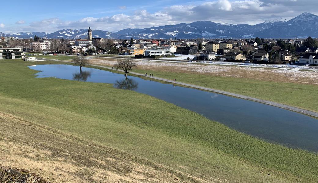Ungewöhnlich viel Schmelzwasser hat sich auf einer Wiese unterhalb des «Grüeziweges» im Bernecker Eichholz zu einem See gesammelt.