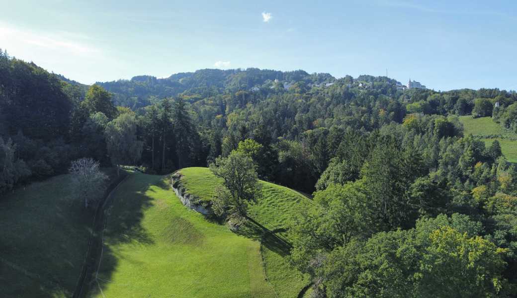 Der Apfelberg wird nicht zum Naturschutzgebiet erklärt. Die Gemeinde lehnt die Petition ab.