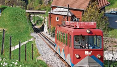 Der Stadtrat verlangt eine umfassende Analyse
