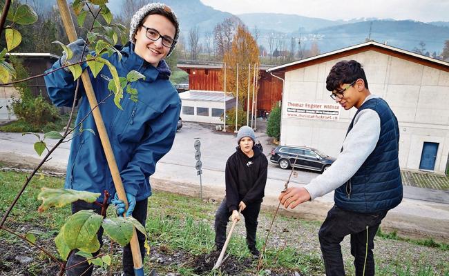 Oberrieter Schüler setzen 3000 Sträucher