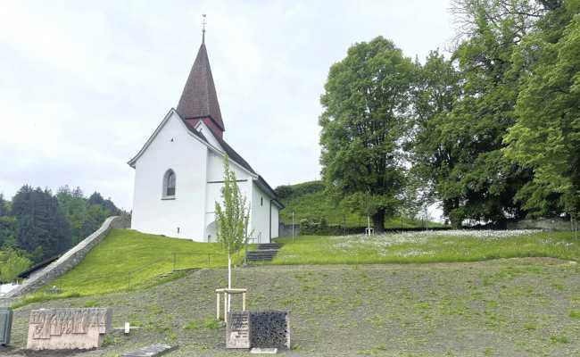 Parkanlage statt Gräberfelder: die letzte Ruhestätte wird grüner