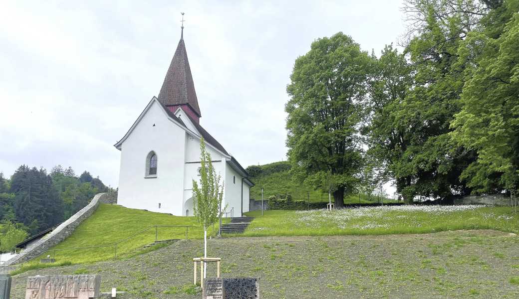 Park statt Gräber: zukünftig säumen Blumen und Bäume den Hang. 