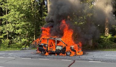 Das Auto warnte per Signal den Fahrer – kurz darauf stand es am Stoss in Flammen