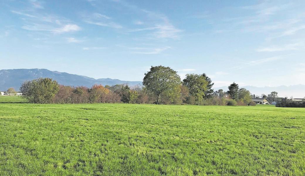 Mit den Heckenmeisterschaften soll auf die Bedeutung von Hecken als Lebensraum aufmerksam gemacht werden.  Mit den Heckenmeisterschaften soll auf die Bedeutung von Hecken als Lebensraum aufmerksam gemacht werden.