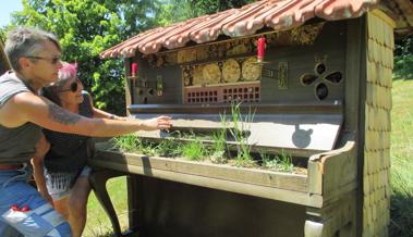 Refugium für musikalische Wildbienen
