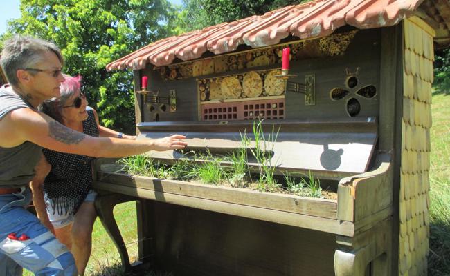 Refugium für musikalische Wildbienen